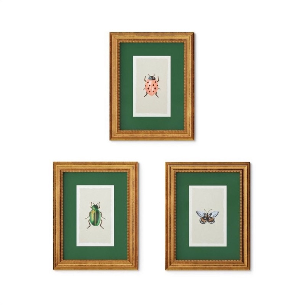 Set 3 | 11"x14" Gold Foil Insect Poster Framed Wall Art Prints - Rifle Paper Co